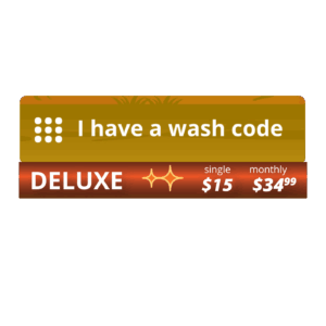 Deluxe Digital PIN Code